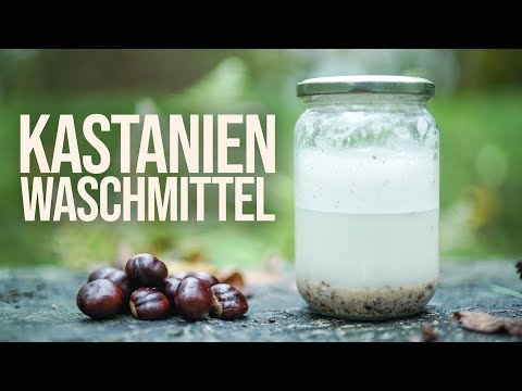 Make your own washing detergent from chestnuts – free & environmentally friendly