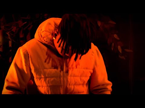 Fran King - Dando Follow Ft. Lenin JR (Visualizer)