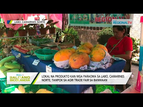 Balitang Bicolandia: Lokal na produkto kan mga paraoma sa Labo, tampok sa Agri Trade Fair