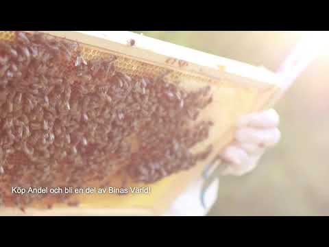 Andelsbiodling / Slöinge Bigårdar