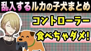【何度でも聞ける】子犬と喋ると赤ちゃん言葉になる【ルカ・カネシロ/にじさんじEN切り抜き】