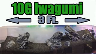 CLASSIC Iwagumi in a 10G Bookshelf Aquarium | Full Aquascape Tutorial