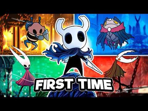 Certified Idiot VS Hollow Knight