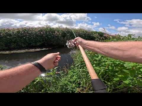 River Roving - trotting a small river for chub and dace