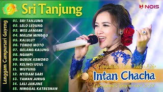 Download lagu INTAN CHACHA - SRI TANJUNG - LELO LEDUNG | KOMPILASI VIDEO LANGGAM CAMPURSARI GAYENG TERBARU 2024 mp3