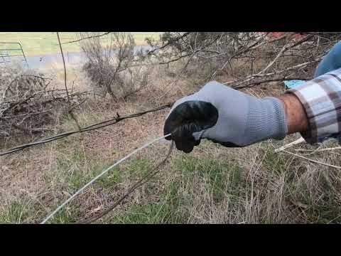 TRAPPING TIP- Fence Snare