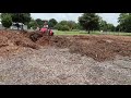 Back To Eden Gardening | Turtles | Snakes!