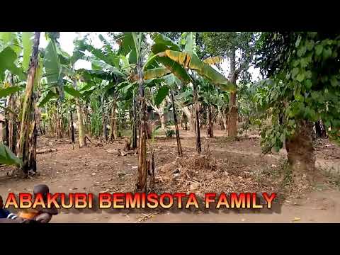 Ebanja Lyomwana Official Video Cover By Abakubi Bemisota Family (Respect 2 Lord Fred Ssebatta
