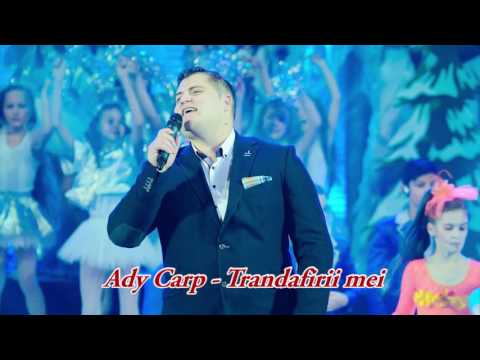 Ady Carp---Trandafirii mei 2016 Tel:+37369383693