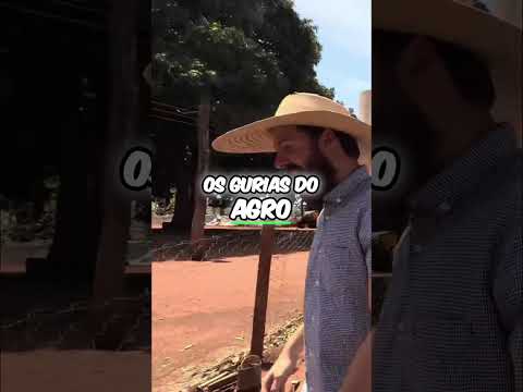 Gurias do Agro de Morro Agudo! #shorts