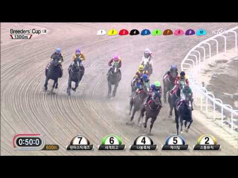 Breeders Cup 2012 Yapung
