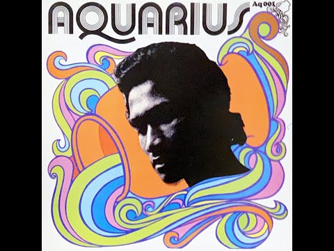 Herman Chin-Loy - Jah Rock(Aquarius Dub)