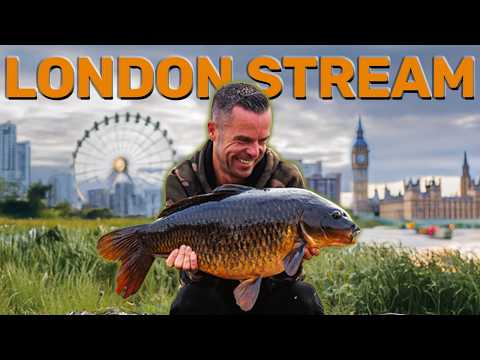 Mozza VS The Urban Stream | Carp Fishing on a Small Forgotten Stream