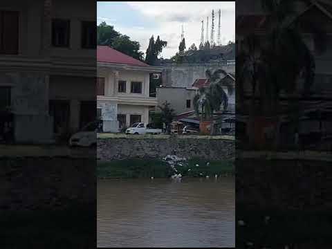 LAGI KETANGKAP KAMERA BUANG SAMPAH DISUNGAI #sampah #viralreels  #buangsampahsembarangan