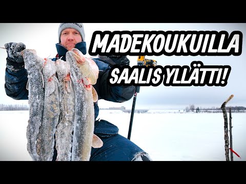 MATEEN KOUKKUKALASTUS - SAALIS YLLÄTTI !