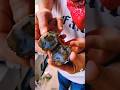 What's Inside? This Thunder Egg? #faith #thunderegg #love #mygirl   #quialitytime #daddysgirl #fyp