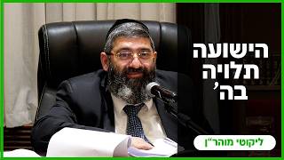 הרב אייל עמרמי - כב' אדר תשפ"ו [11.03.26] (הרב אייל עמרמי) - התמונה מוצגת ישירות מתוך אתר האינטרנט יוטיוב. זכויות היוצרים בתמונה שייכות ליוצרה. קישור קרדיט למקור התוכן נמצא בתוך דף הסרטון