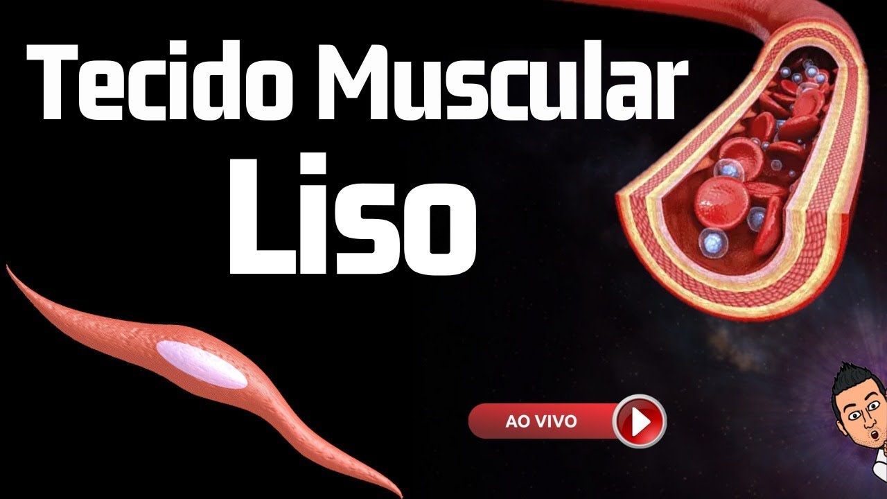 Tecido Muscular Liso - Aula ao Vivo 49