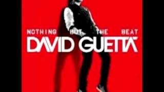 David Guetta ft Jennifer Hudson - Night Of Your Life