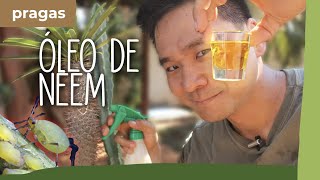 Miniatura do vídeo