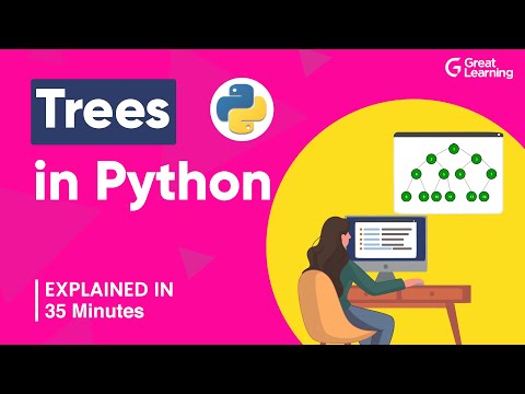 Data Structures and Algorithms in Python for Beginners 2023 Great Learning