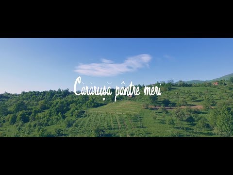 Iuliana Demian și Dani Pomian - Cărărușă pântre meri