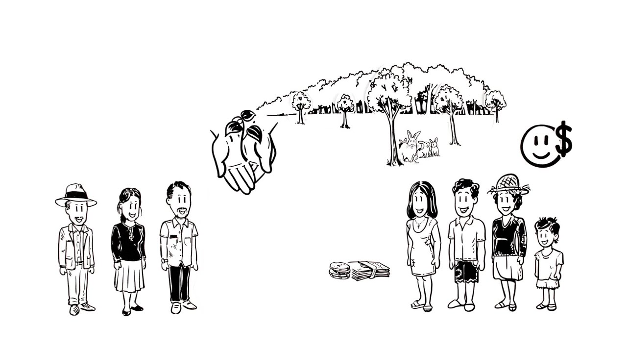 Payment for Ecosystem Services