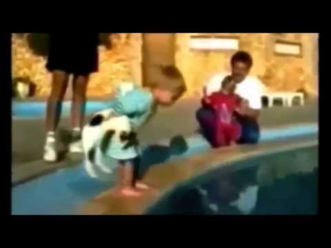 Armand Hofmeyr - Kitty (Amptelike Video) Funny Cats mashup