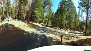 Wawona Campground Video