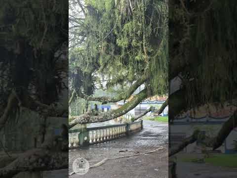 💚 Dois dias em Morretes, no Paraná, e já ficamos com vontade de voltar!