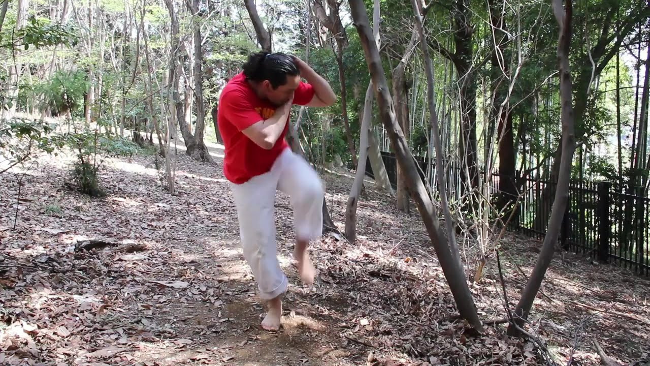 treininho caseiro/e basico pra nao....