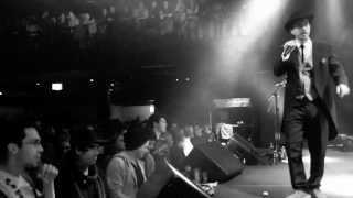 stereo luchs // stepp usem reservat