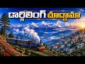 Darjeeling Complete Travel Guide Toy Train Tiger Hill Rock Gardens Kanchenjunga View