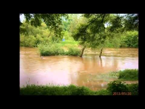 Xin đừng trách đa đa Sheet - Quang Linh