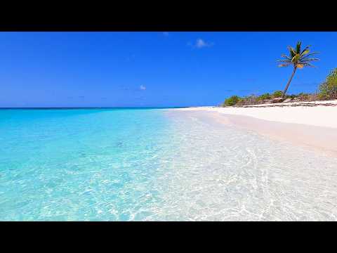 Turquoise Shoals: The Most Relaxing Waves in The World