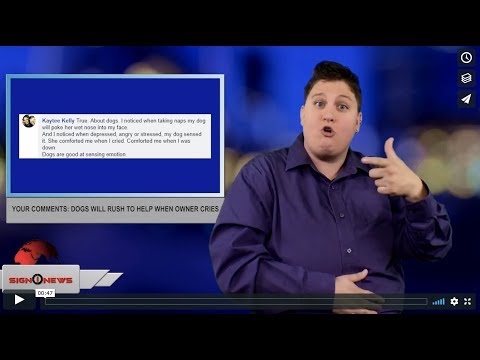 Your comments: Dogs will rush to help when owner cries (ASL - 7.25.18)