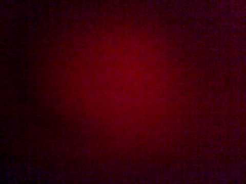 DENIS DUFOUR - terrra incognita @ La Société de Curiosités, paris, 2010