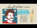 Jennifer Gentle - Electric Princess - Daytrotter Session