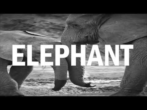 " FREE "  Afro Trap x afropop Instrumental 2021 "ELEPHANT" (niska x YOROBO x FIOR 2 BIOR) type Beat