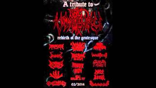 DECAYING FLESH - The Ravenous Dead (A Tribute to VOMITORY)