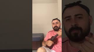 Incomplete and Insecure - The Avett Brothers