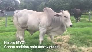 Miniatura do vídeo