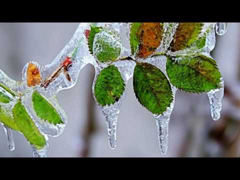 Blue Winter /   Maureen Moore