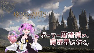 【ホグワーツ・レガシー】最優秀寮杯