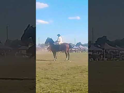 47° fiesta de la tradición buena esperanza San Luis