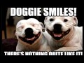 Try Not To Laugh