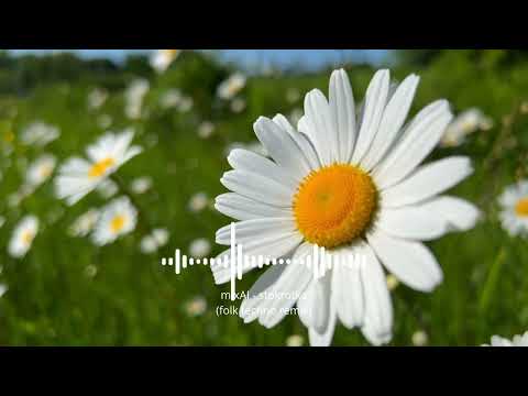 mixAI - stokrotka (folk techno remix)