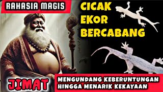 Download lagu Rahasia Magis Cicak Ekor Bercabang Dua!! Mengundang Keberuntungan Hingga Jimat Menarik Kekayaan. mp3