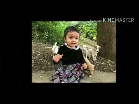 Happy Birthday to you Meera