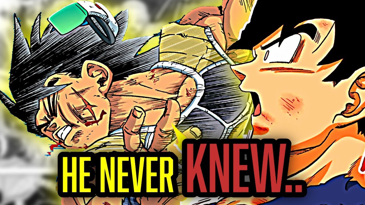 The Truth Behind BARDOCK'S LAST Fight and Goku’s Departure
